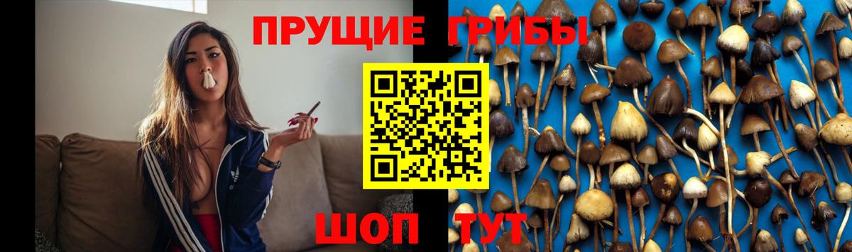 Псилоцибиновые грибы Magic Shrooms Кыштым